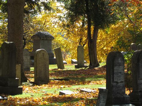 Lake View Cemetery In Williamson Newyork Visitors At