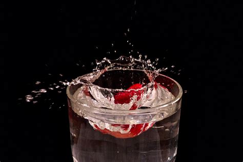 Splash Liquid Splashing Free Photo On Pixabay Pixabay