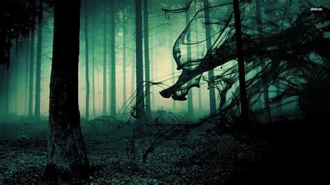 Haunted Forest Wallpapers Top Free Haunted Forest Backgrounds