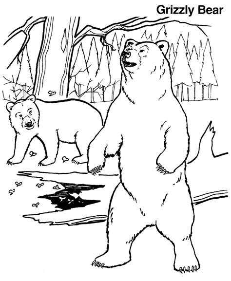Cute Grizzly Bear Coloring Pages Funny Bear Coloring Book With