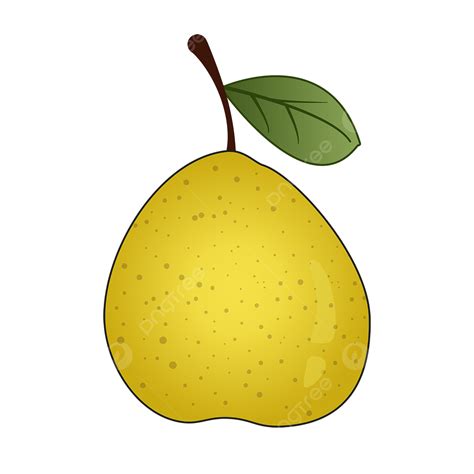 Pear Fruit Clipart Hd Png Vector Cartoon Gradient Pear Clipart Fruit
