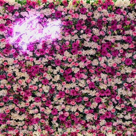 Bright Pink Flower Wall Hire Melbourne 2 Sizes