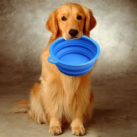 Buy 1pcspet Products Silicone Pet Folding Dog Bowls