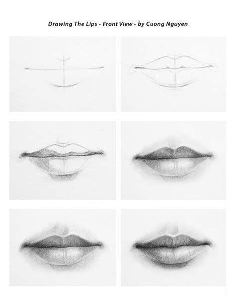 Drawing Lips Front View Step By Step By Cuong Nguyen