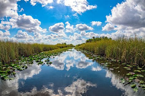 Everglades National Park Wildlife And Excitement 7 Days Abroad