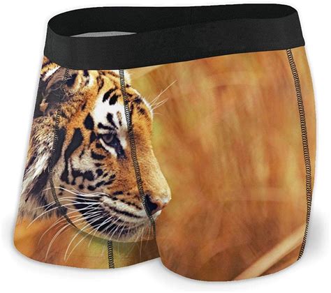 Adamitt Bengal Tiger Preying Men S Boxer Briefs Regular Soft Breathable Comfortable Underwear