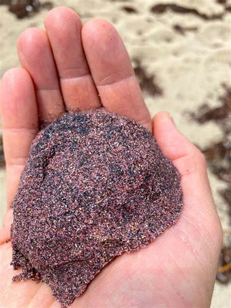 South Australia’s enigmatic pink sand was born in ice-covered Antarctic