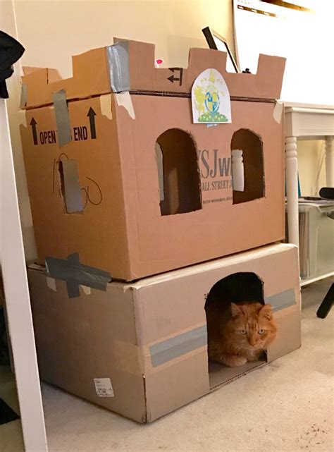 Bored Quarantined Owners Have Started Putting Cats In Cardboard Forts