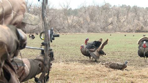 Bow Hunting For Turkey RangerMade