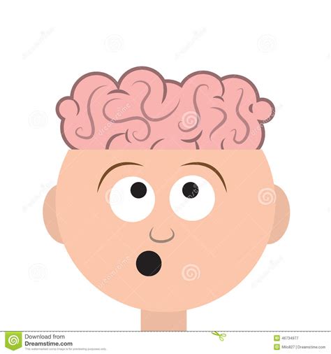 Head Brains Stock Vector Illustration Of Inspiration 46734977