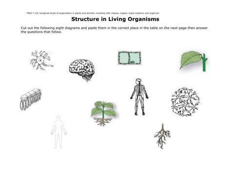 Structure Of Living Organisms