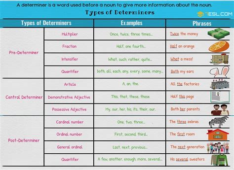 Maybe you would like to learn more about one of these? Determiner: Definition, Types, List and Useful Examples of ...