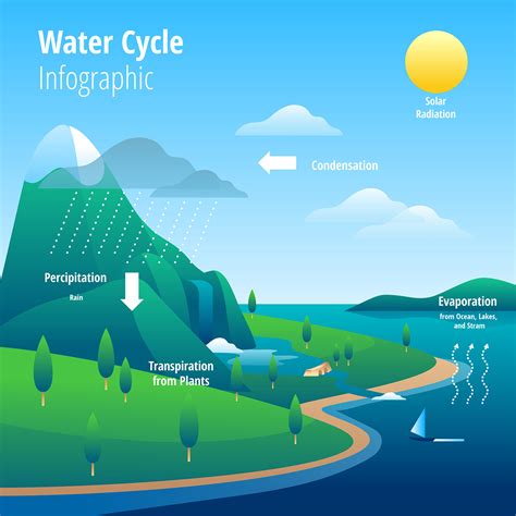 Ilustración De Infografía De Ciclo De Agua 208527 Vector En Vecteezy