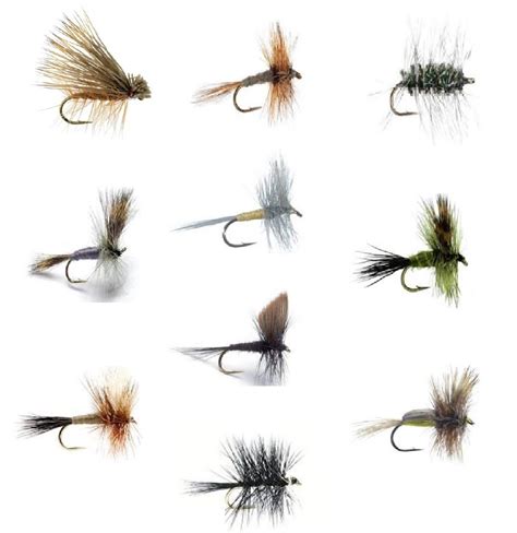 Trout Fly Fishing Patterns Free Patterns