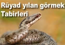 Rüyada yılan görmek ne demek | Huzur Sayfası / İslami bilgi kaynağınız
