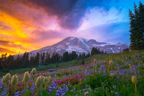 Mt Rainier At Sunset — Paradise Wa 1024×685 Wallpaperable