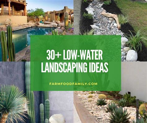 30 Stunning Low Water Landscaping Ideas And Designs For Your Yard