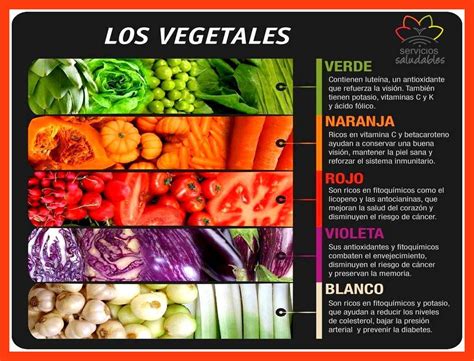 ¿sabías Cuales Son Las Propiedades De Los Vegetales Vitaminas Y