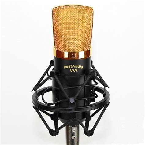 Post Audio C7p Microphone Large Diaphragm Recording Studio Condenser
