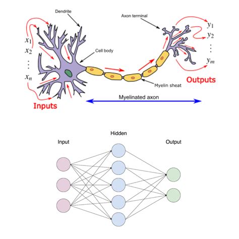 Artificial Neural Network With An Input Layer With Three Neurons One Images
