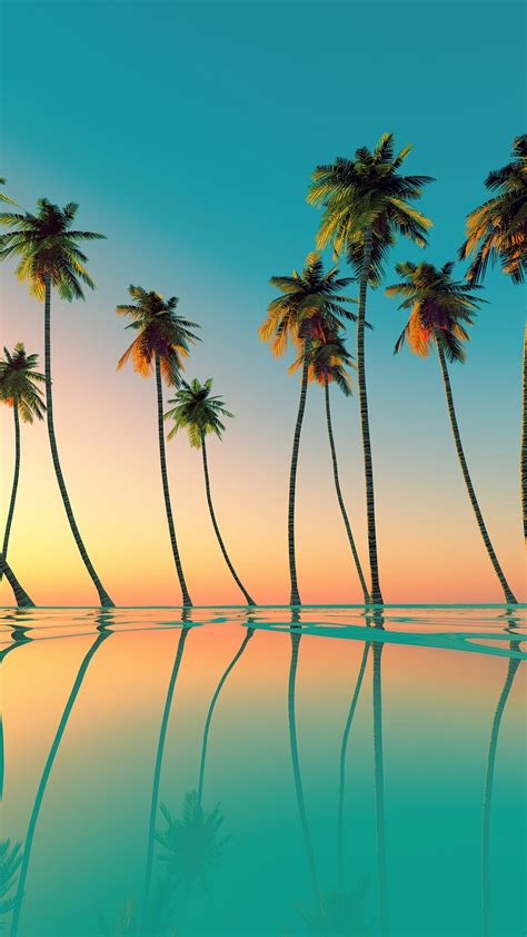Wallpaper Coconut Tree A1 Wallpaperz For You