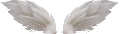 White Wings Png