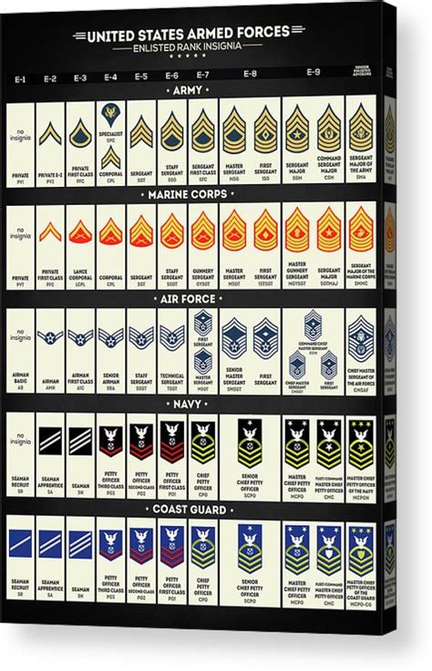 United States Armed Forces Enlisted Rank Insignia Acrylic Print By