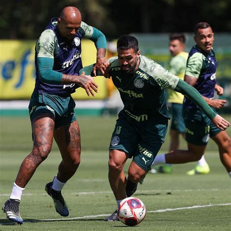 Clube Do Palmeiras Anuncia Lista Com 50 Jogadores Para A Disputa Da Recopa Sul Americana