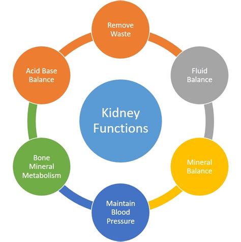 Elevation of values to be considered only if repeated values are high. Kidney Function Test (KFT Test): Normal Range, Cost & Results