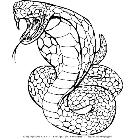 Today we will unveil the this is a cute coloring sheet of a female snake with huge eyelashes. Snake Coloring Pages For Kids at GetColorings.com | Free ...