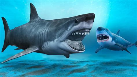 A Shark Scarier Than The Megalodon Could Exist Do