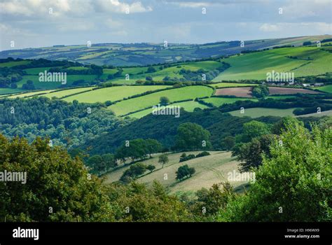 English Countryside With Hedges And Fields In Exmoor National Park