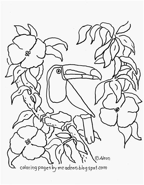 Download 407 toucan coloring stock illustrations, vectors & clipart for free or amazingly low rates! Coloring Pages for Kids by Mr. Adron: Free Printable ...