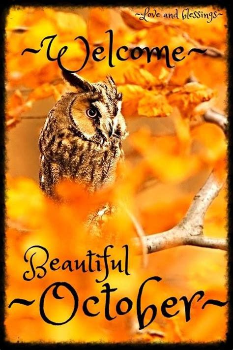 Welcome Beautiful October Welcome October Images Hello October