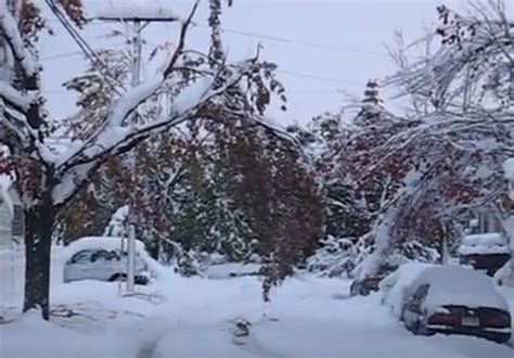 Buffalo October 2006 Snowstorm Video