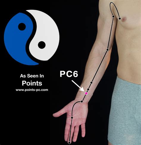 Acupuncture Point Pericardium 6 Pc 6 Acupuncture Technology News