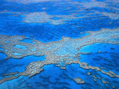 Great Barrier Reef Wallpapers Wallpaper Cave