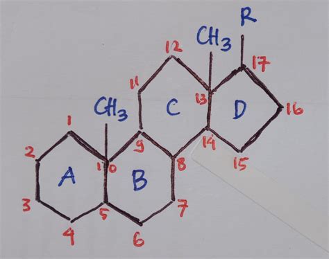 Orale steroide und negative cholesterinveränderungen. Keanekaragaman Struktur Kimia Steroid