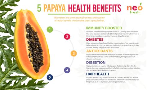 Papaya Health Benefits Neofresh