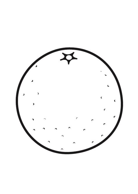 Coloring and learn is an realistic coloring game with more than 250 pages with educational content for all ages!. Coloring Page orange - free printable coloring pages - Img ...