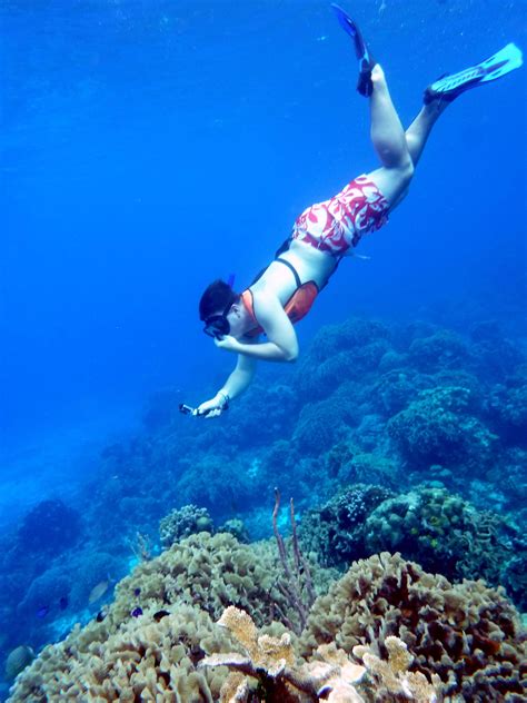 Cozumel Reef Snorkel The Second Largest Barrier Reef In The World Cancunadventour