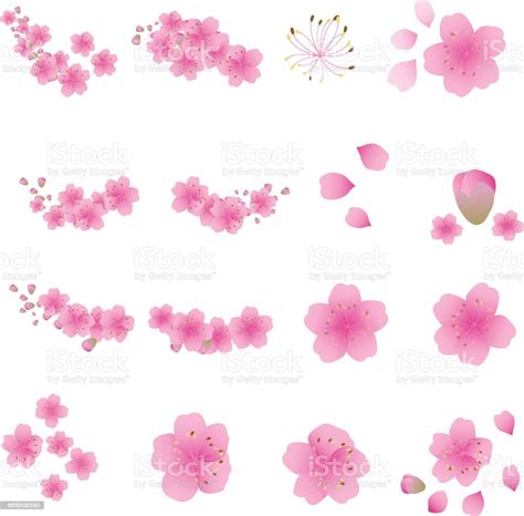 Sakura Flowers Icon Set Cherry Blossom Vector Illustration Stock Vector