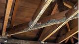 Pictures of Attic Termite Damage
