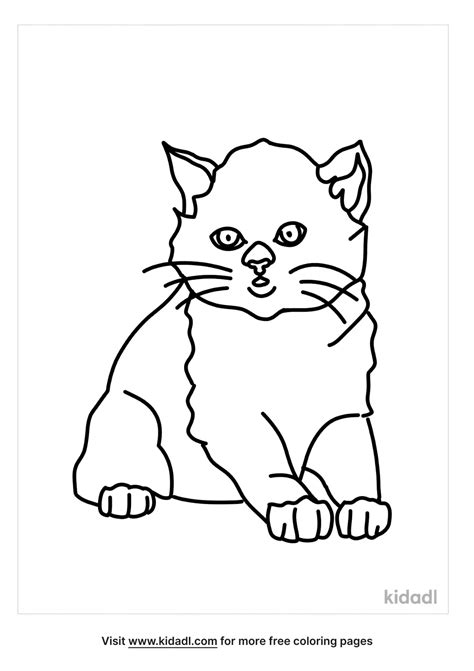 Free British Shorthair Cat Coloring Page Coloring Page Printables