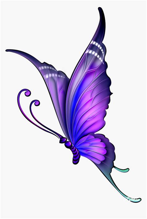Easy Beautiful Easy Butterfly Drawing With Colour Janio Cesar