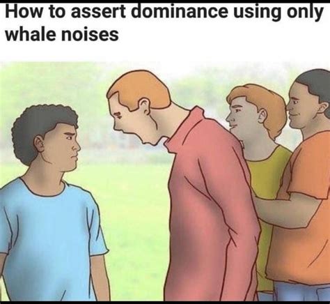 The Wonder Of Wikihow Religious Forums