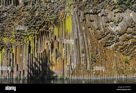 Or Douglas County Cascades Range Soda Springs Basalt Columns The