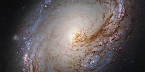 Nasas Hubble Telescope Captures Stunning Image Of Milky Way Type