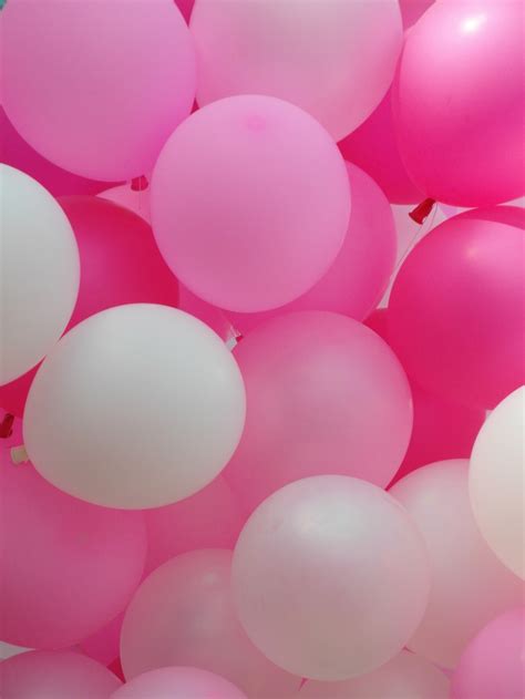 Pink Balloons Free Stock Photo Public Domain Pictures
