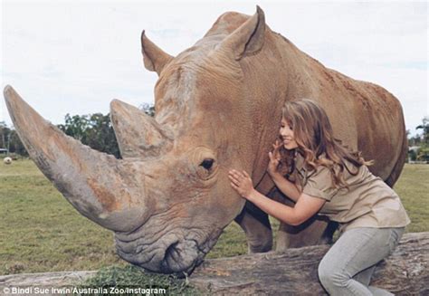 Bindi Irwin Spends Time Tending To A Rhino As She Snubs Maxims Hot 100